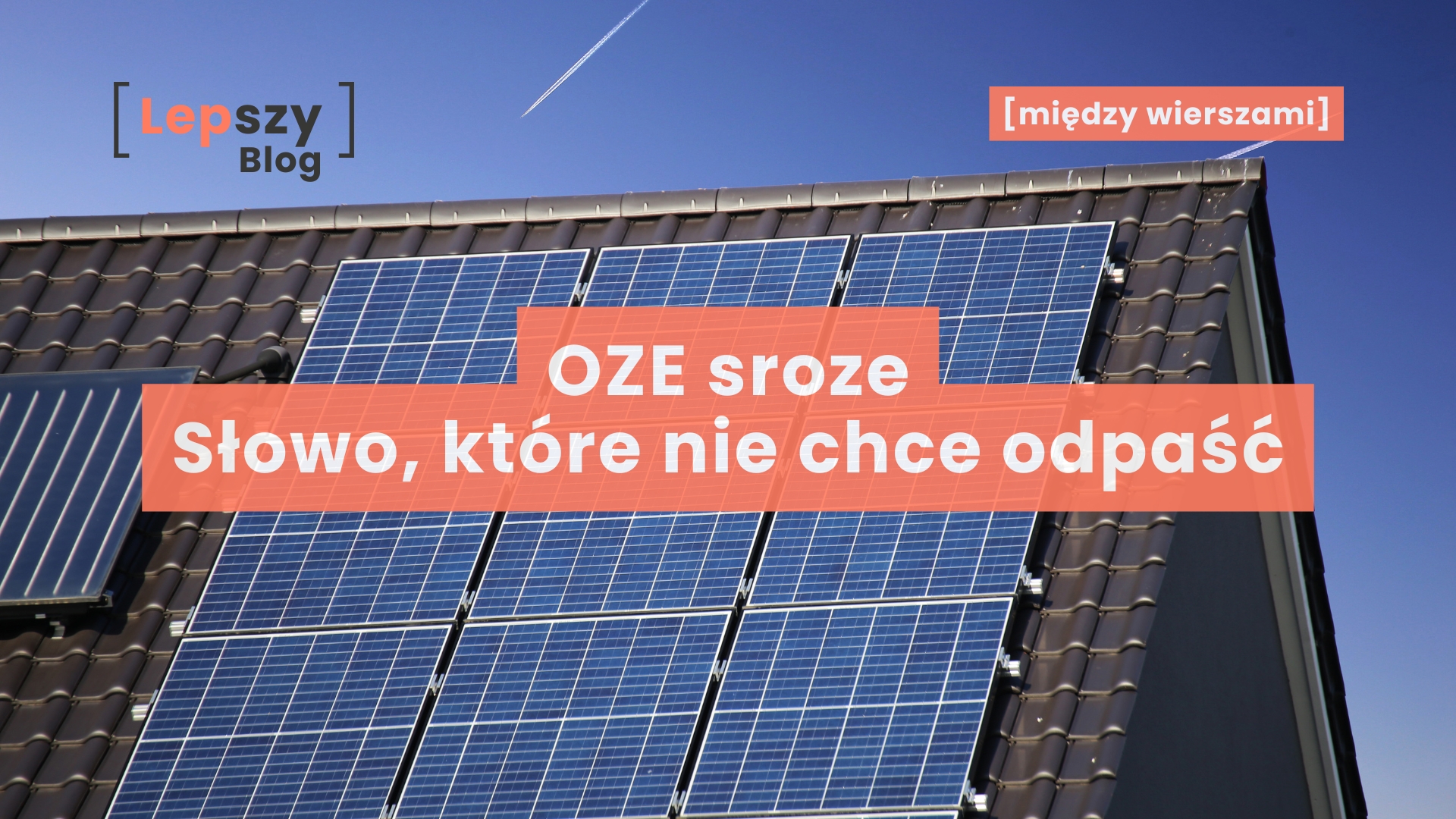 OZE sroze. Słowo, które nie chce odpaść